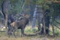 2014-09-19 De Veluwe 2014